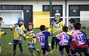 Programme du 24 février au 1er mars 2020