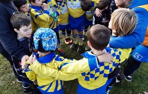 Rugby - Programme du 30 novembre au 6 décembre 2020