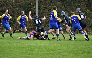 5dd188940258d_DSC1212.JPG
