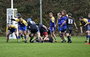 5dd1889c84fed_DSC1214.JPG