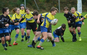 5dd534ee3bd71_DSC0729.JPG