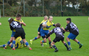 5dd53572a3d33_DSC0731.JPG