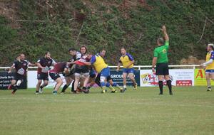 6153750584b5b_IMG8754.jpg