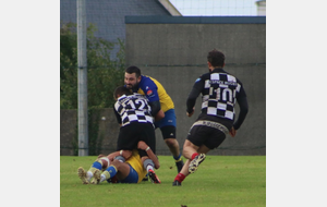 617861828dc1d_IMG9916.jpg