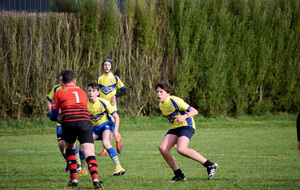 619519a104563_DSC0521.jpg