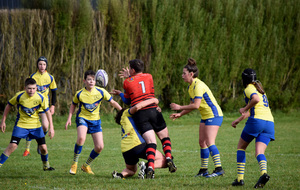 619519b43b904_DSC0522.jpg