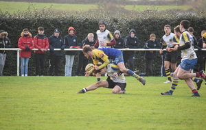 61e309bb0df47_DSC0303.JPG