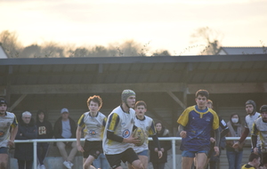 61e30a03af95d_DSC0304.JPG