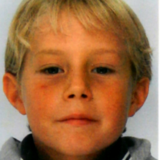 Nolan Le Vaillant Poullaouec