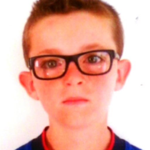 Mathys Westrelin