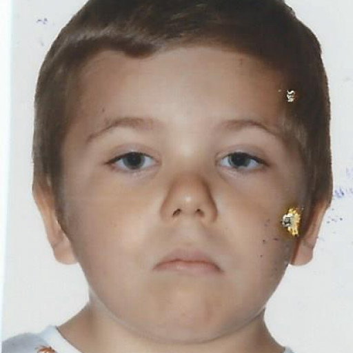 Anakin Pollet Villard